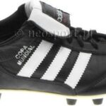Buty piłkarskie adidas Buty Copa Mundial 015110