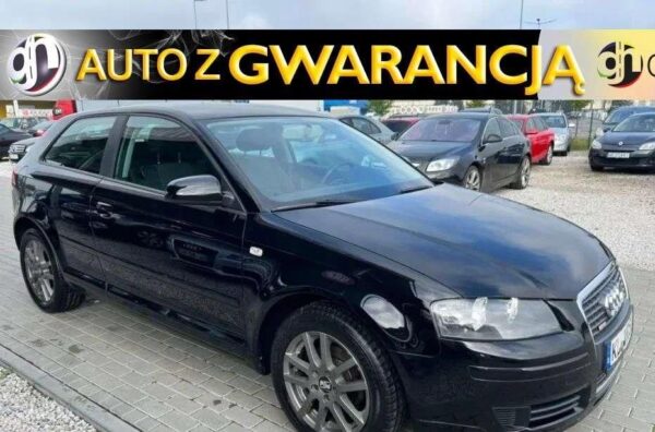 Audi A3 1.6Benz.102KM Klimatr.AluZima Nowy Roz...