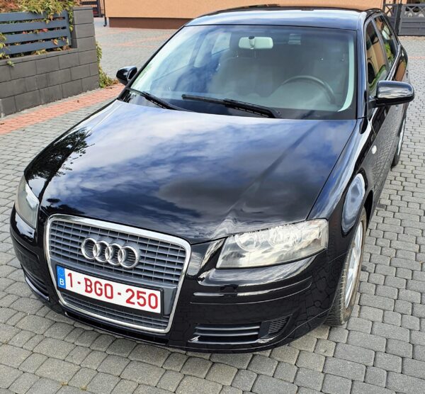 Audi A3 8P 1.9 Tdi "Zadbany Samochód"