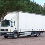 DAF LF 55.220 EURO 5 Firanka Sprowadzony Klima DAF