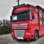 DAF XF 105.510Zestaw Do Przewozu Trzody Pezzaioli