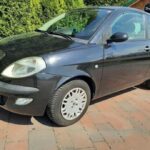 Lancia Ypsilon 1.2 8v