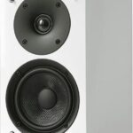 Pioneer SP01LRW biały para