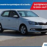 Skoda Fabia 1.0 TSI