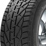 Taurus Winter 225/45R17 91 H BSW